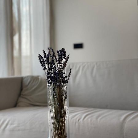 Roemer Apartment Und Zimmer Тюркхайм Екстериор снимка