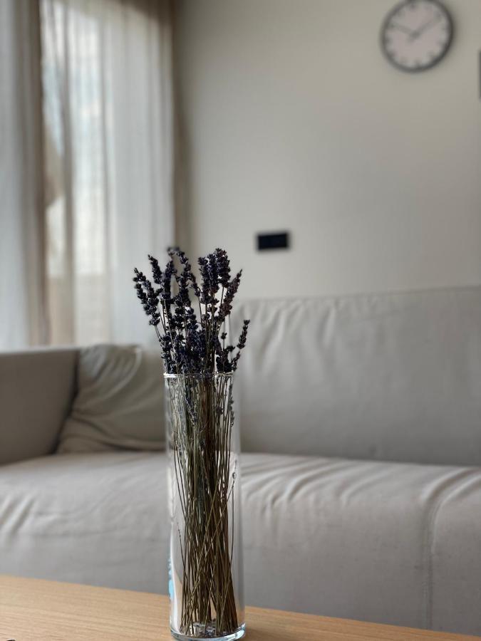 Roemer Apartment Und Zimmer Тюркхайм Екстериор снимка